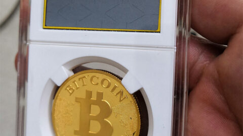 Gold bitcoin coin in a protective grading case