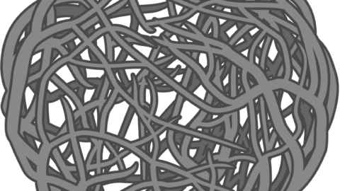 Stanford Builds Lung Organoids With Their Own Resident Immune Cells