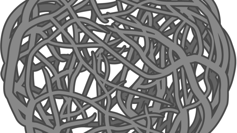 Stanford Builds Lung Organoids With Their Own Resident Immune Cells